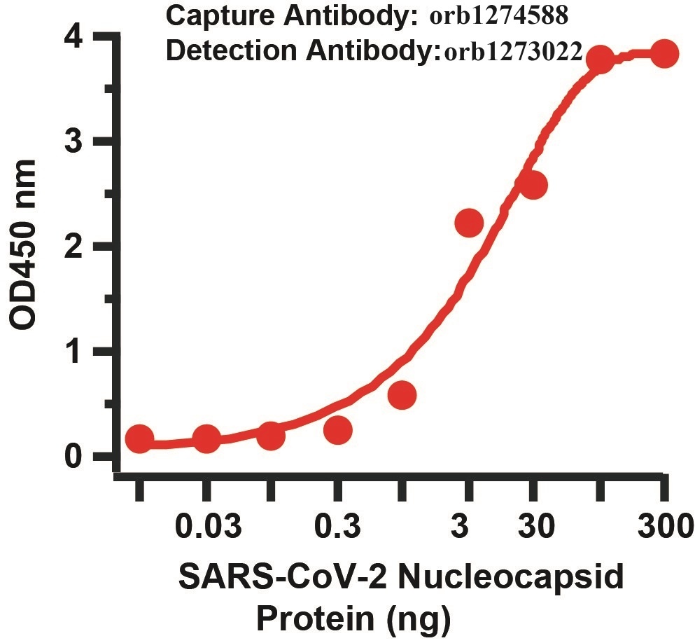 SARS-CoV-2 (COVID-19) Nucleocapsid Matched Pair