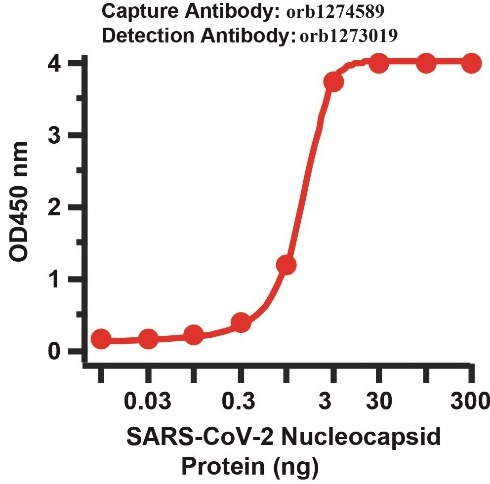 SARS-CoV-2 (COVID-19) Nucleocapsid Matched Pair