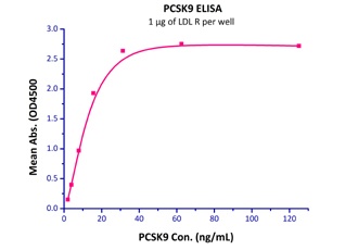 PCSK9 Recombinant Protein