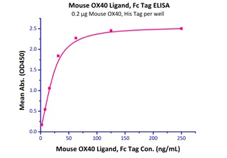 OX40 Recombinant Protein