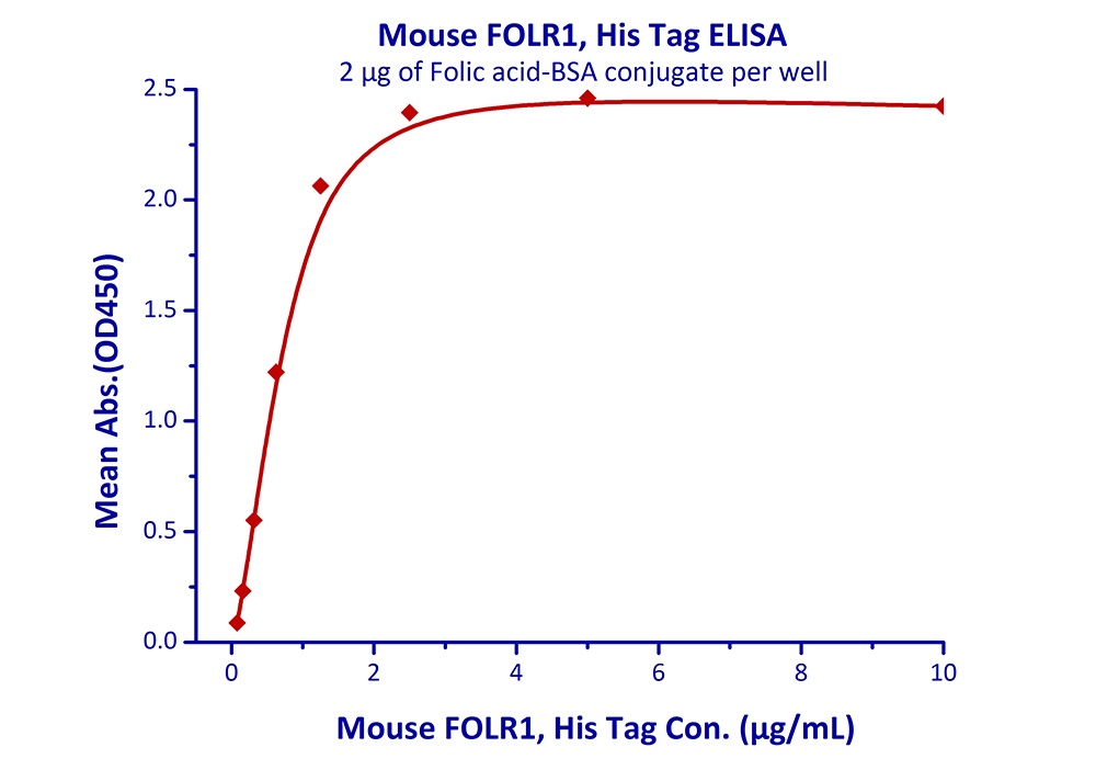 FOLR1 Recombinant Protein