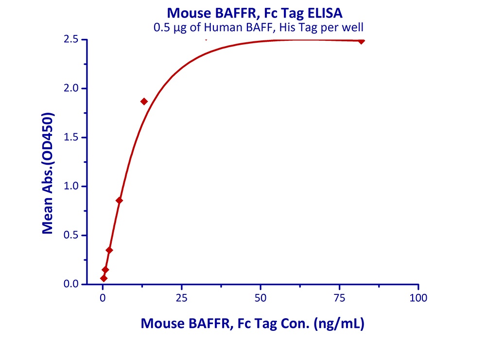 BAFFR Recombinant Protein