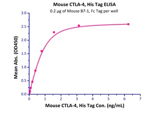 B7-1 Recombinant Protein
