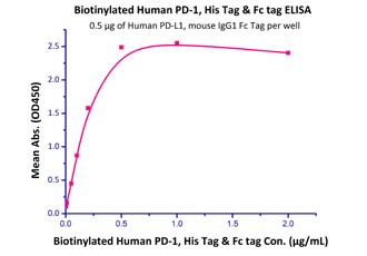 PD-L1 Recombinant Protein