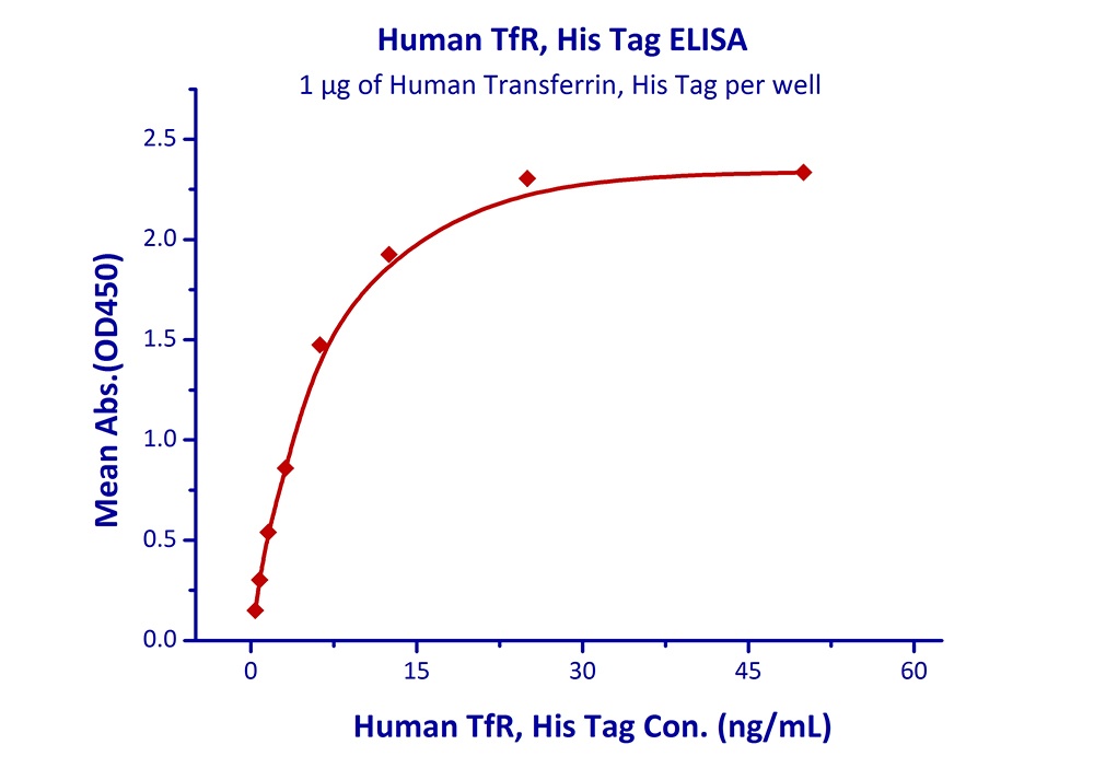 CD71 Recombinant Protein