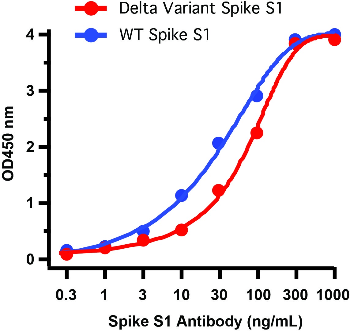 SARS-CoV-2 (COVID-19) Delta Variant Spike S1 (His-Avi Tag) Recombinant Protein