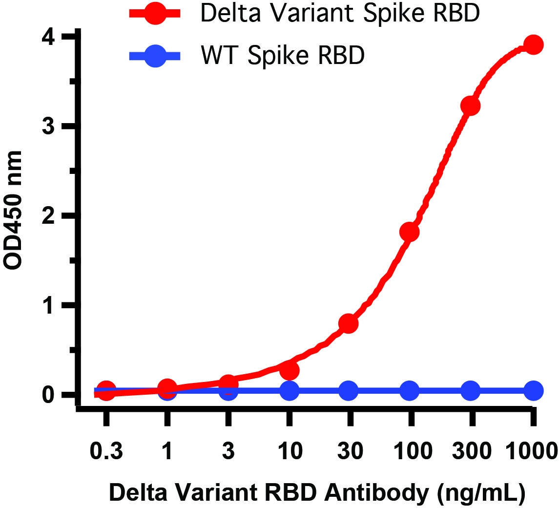 SARS-CoV-2 (COVID-19) Delta Variant Spike RBD (His-Avi Tag) Recombinant Protein