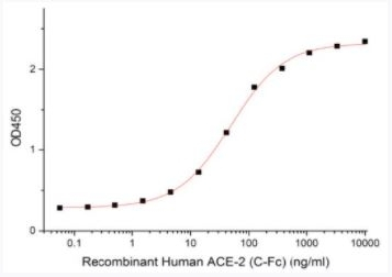 SARS-CoV-2 (COVID-19) S1 Recombinant Protein