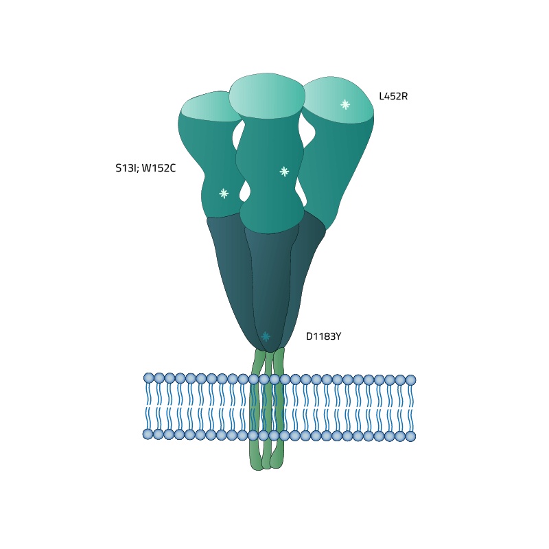 SARS-CoV-2 (COVID-19) Full-Length Epsilon Variant (B.1.429, Ca) Spike Recombinant Protein