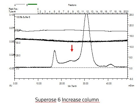 SARS CoV-2 full length spike protein nanodisc complex