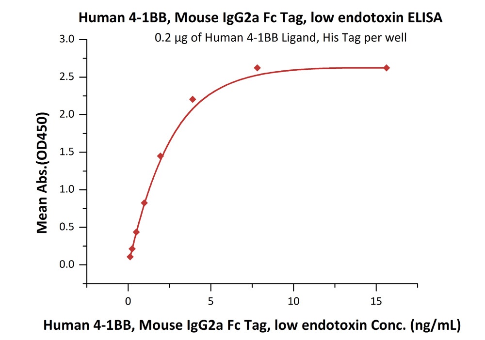 EGF R Recombinant Protein