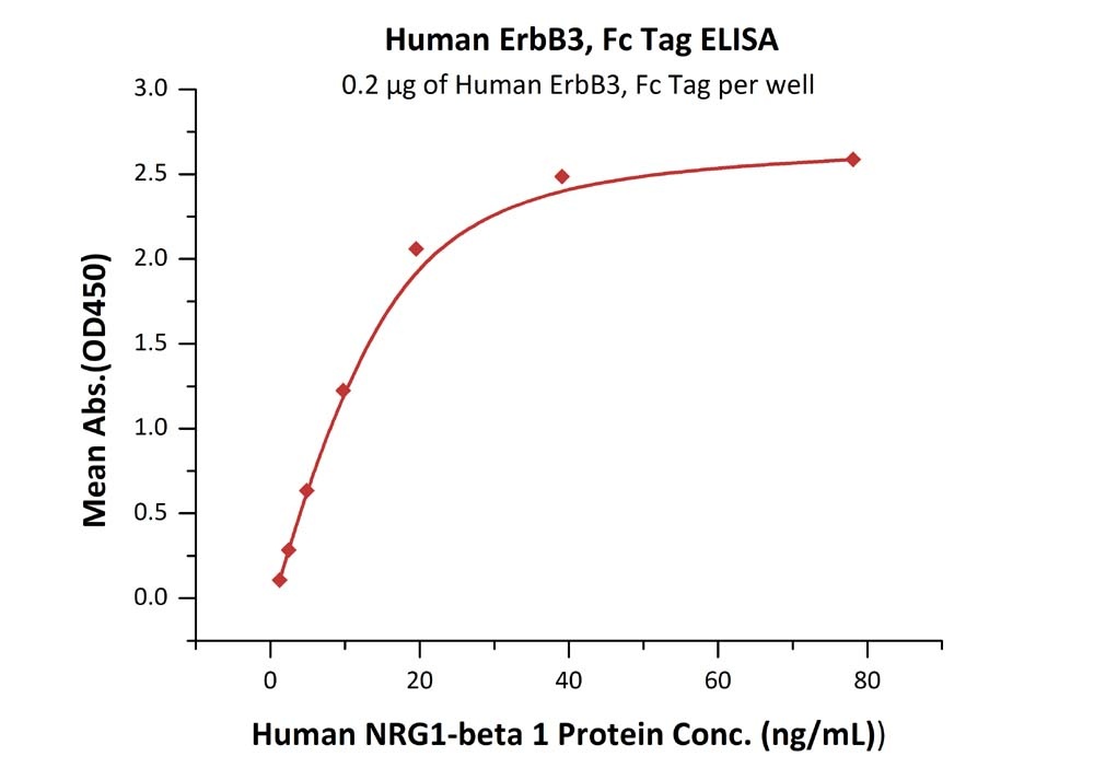 ErbB3 / Her3 Recombinant Protein
