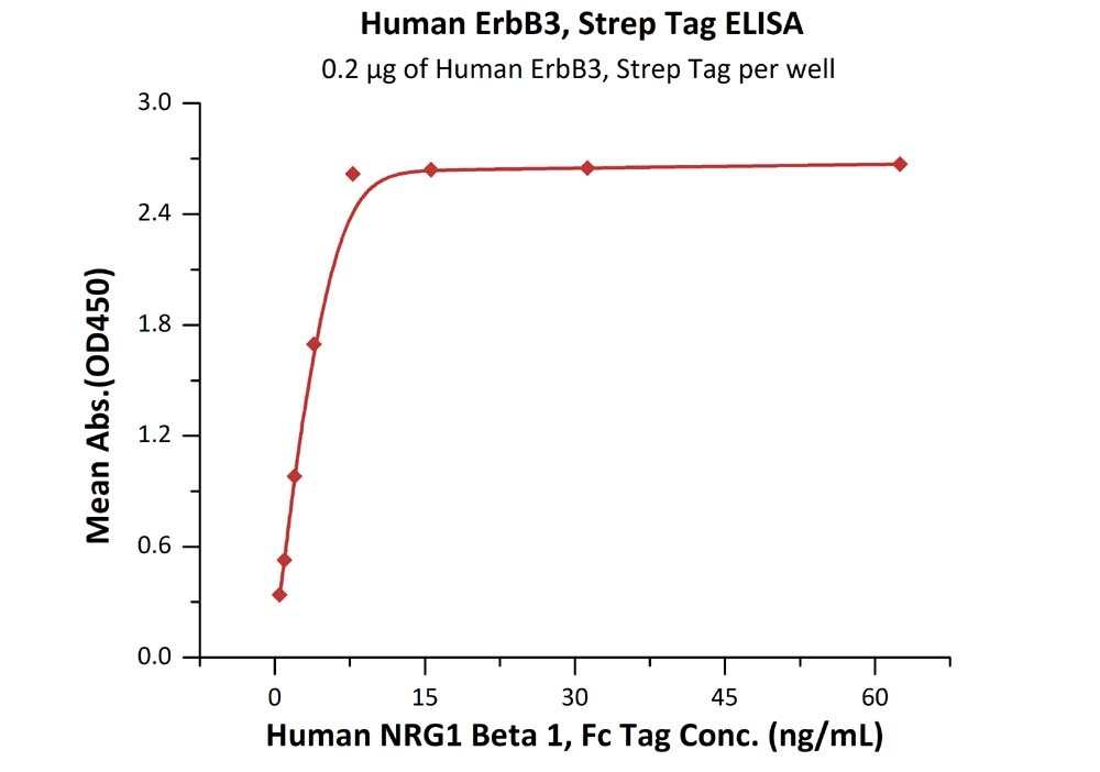 ErbB3 / Her3 Recombinant Protein