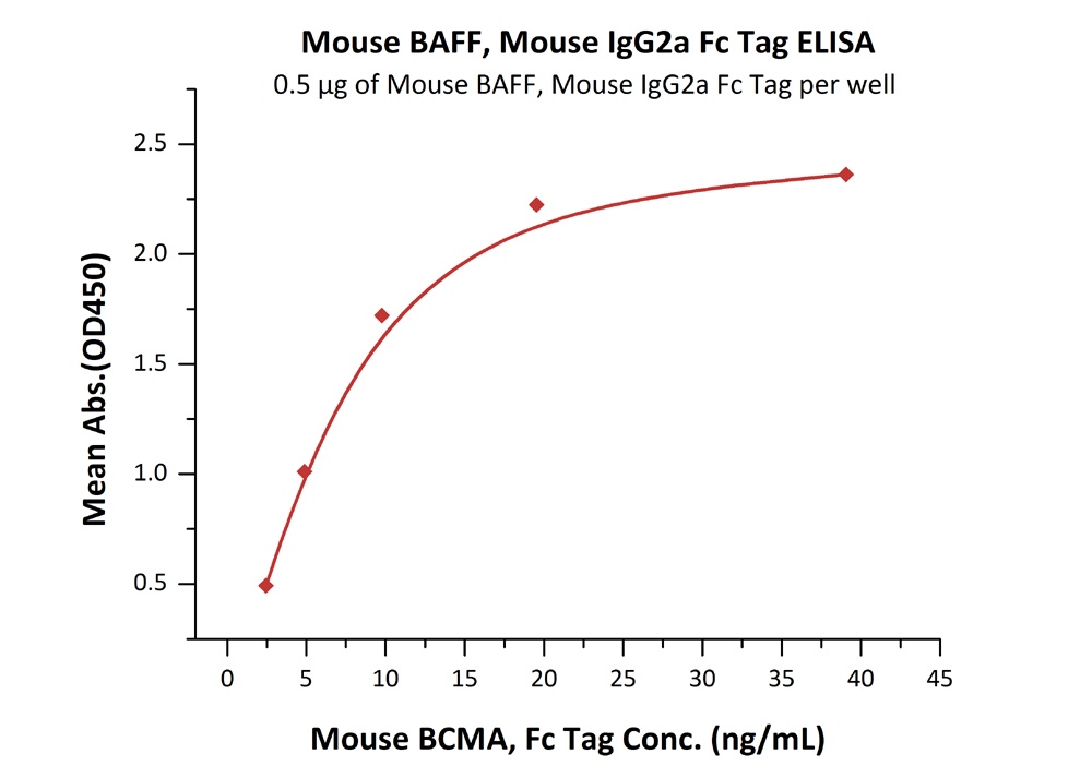 BAFF / TNFSF13B / CD257 Recombinant Protein