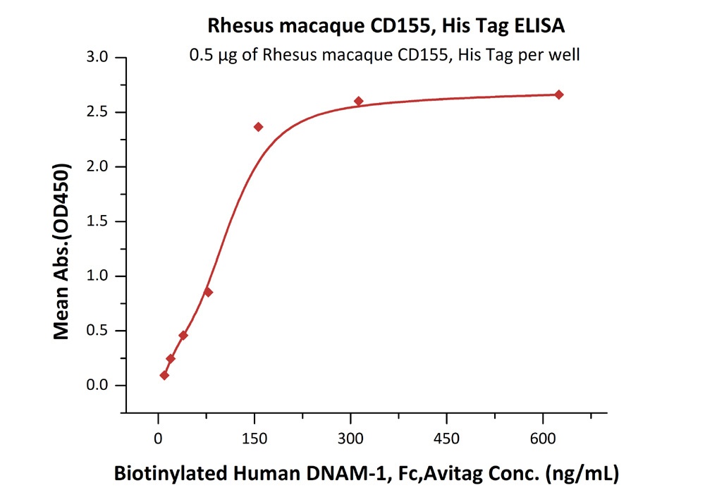 BAFF / TNFSF13B / CD257 Recombinant Protein