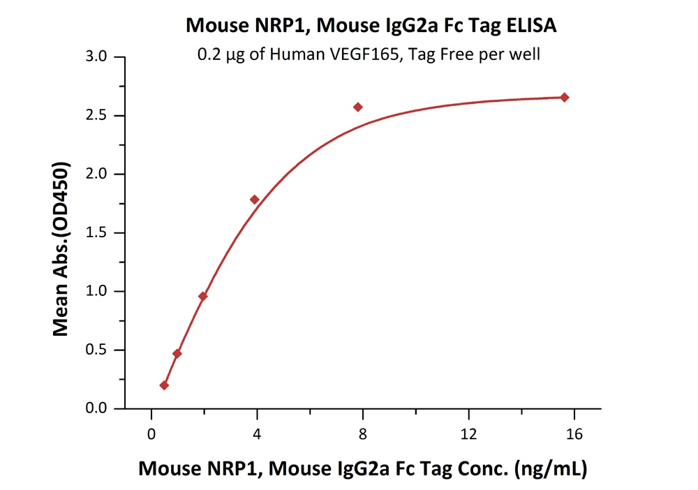 Neuropilin-1 / NRP1 / CD304 Recombinant Protein