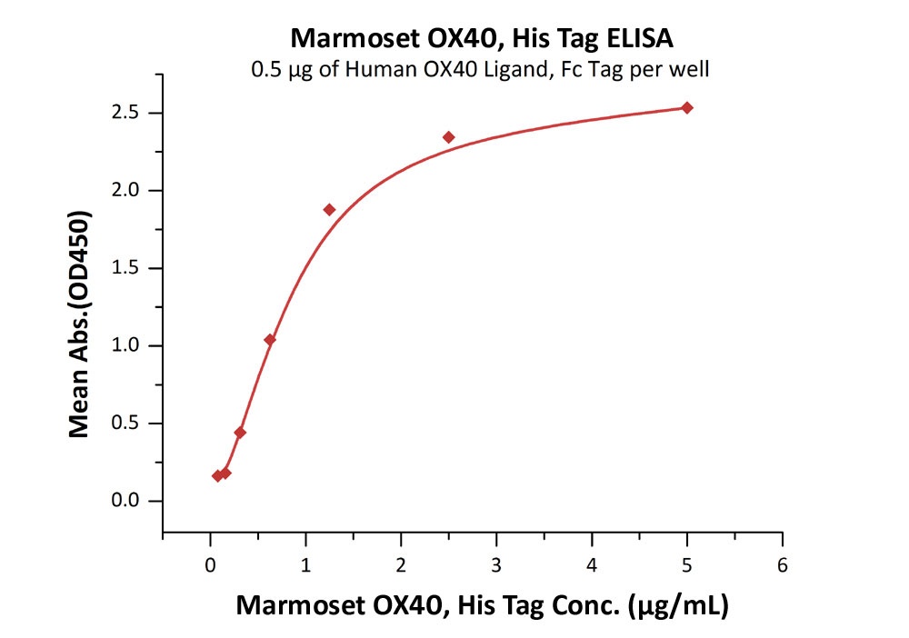 Marmoset OX40 / TNFRSF4 / CD134 Recombinant Protein
