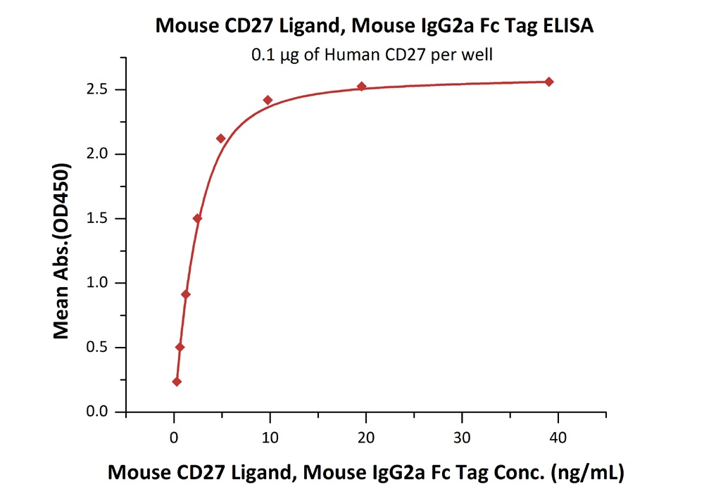 CD27 Ligand / CD70 Recombinant Protein