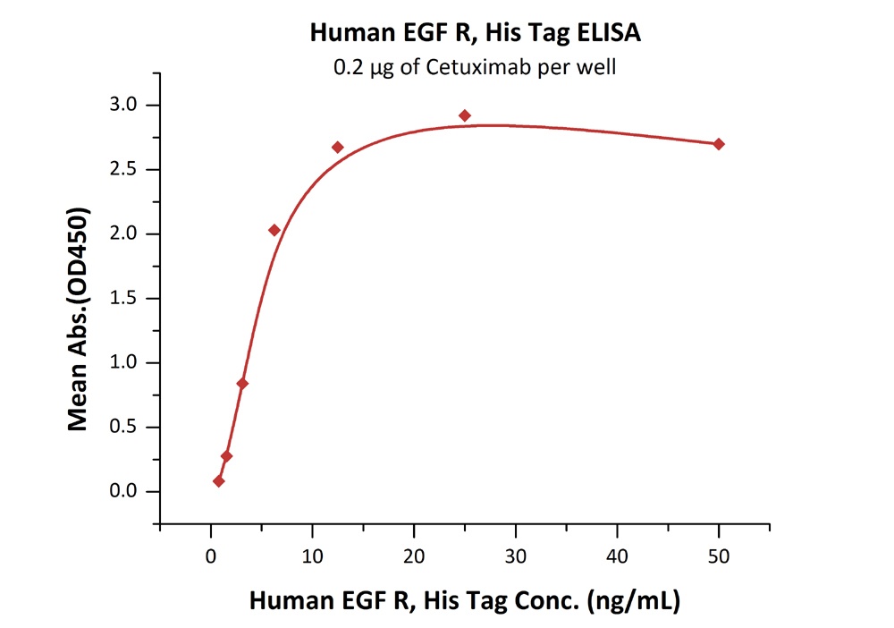 EGF R Recombinant Protein