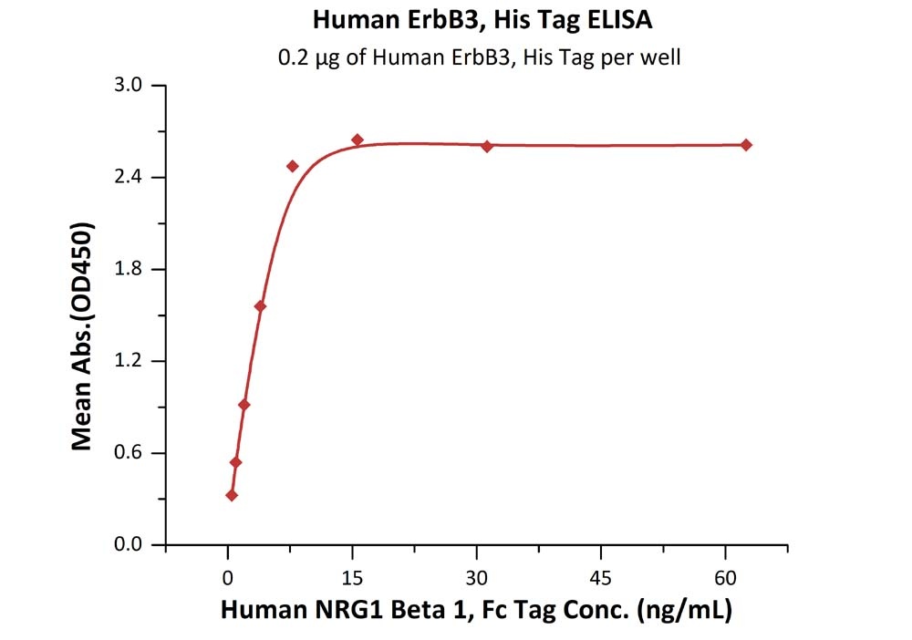 ErbB3 / Her3 Recombinant Protein