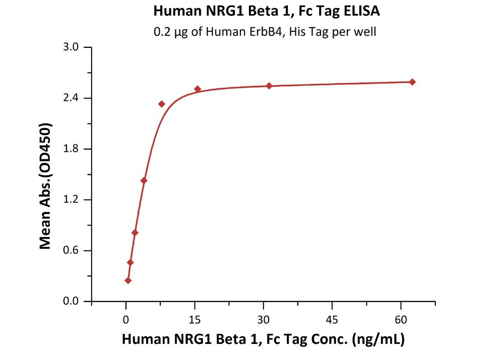 IL-2 R alpha / CD25 Recombinant Protein