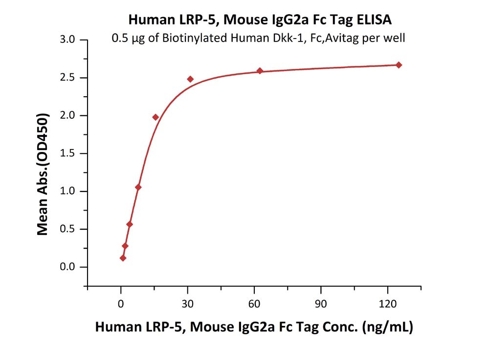 LRP-5 Recombinant Protein