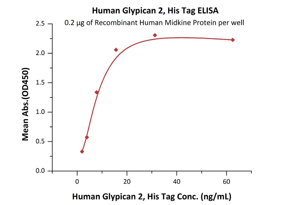 Glypican 2 / GPC2 Recombinant Protein
