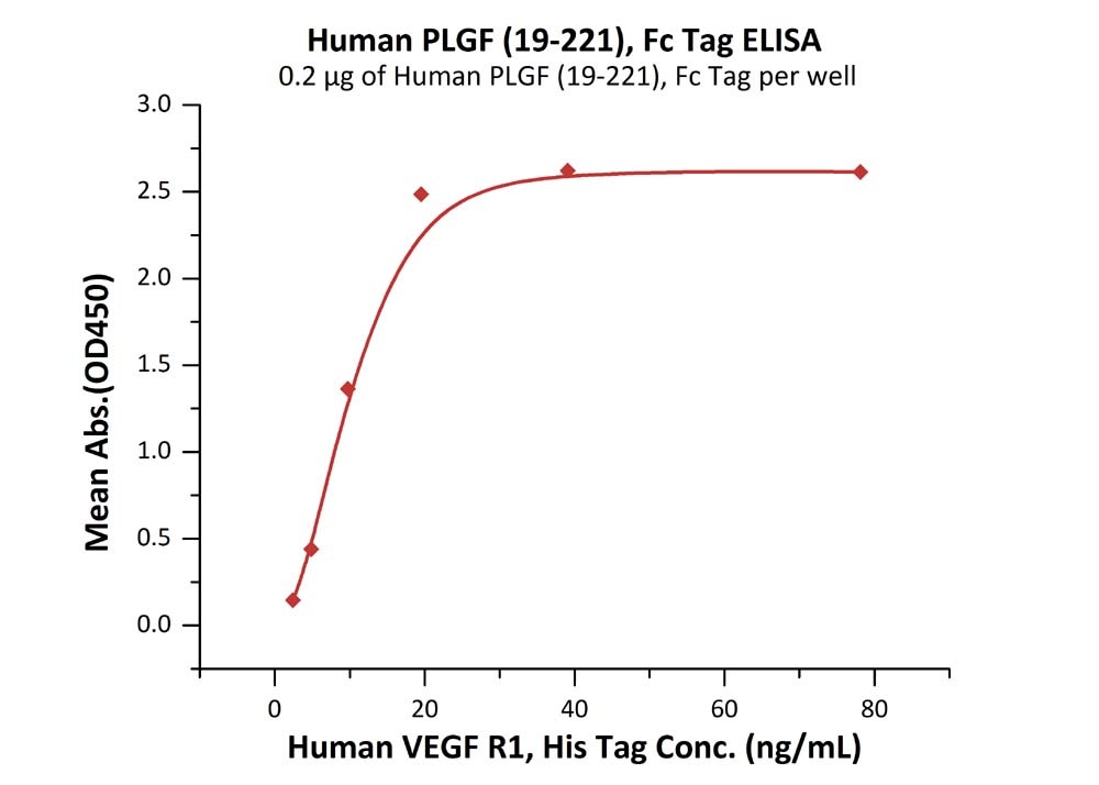 IL-13 Recombinant Protein