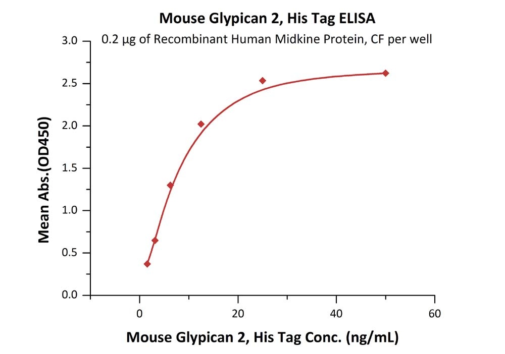 Glypican 2 / GPC2 Recombinant Protein