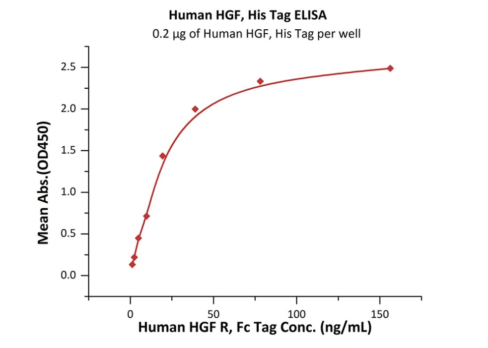 HGF Recombinant Protein