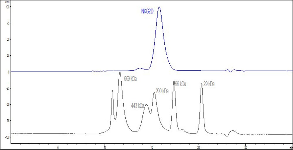 NKG2D / CD314 Recombinant Protein