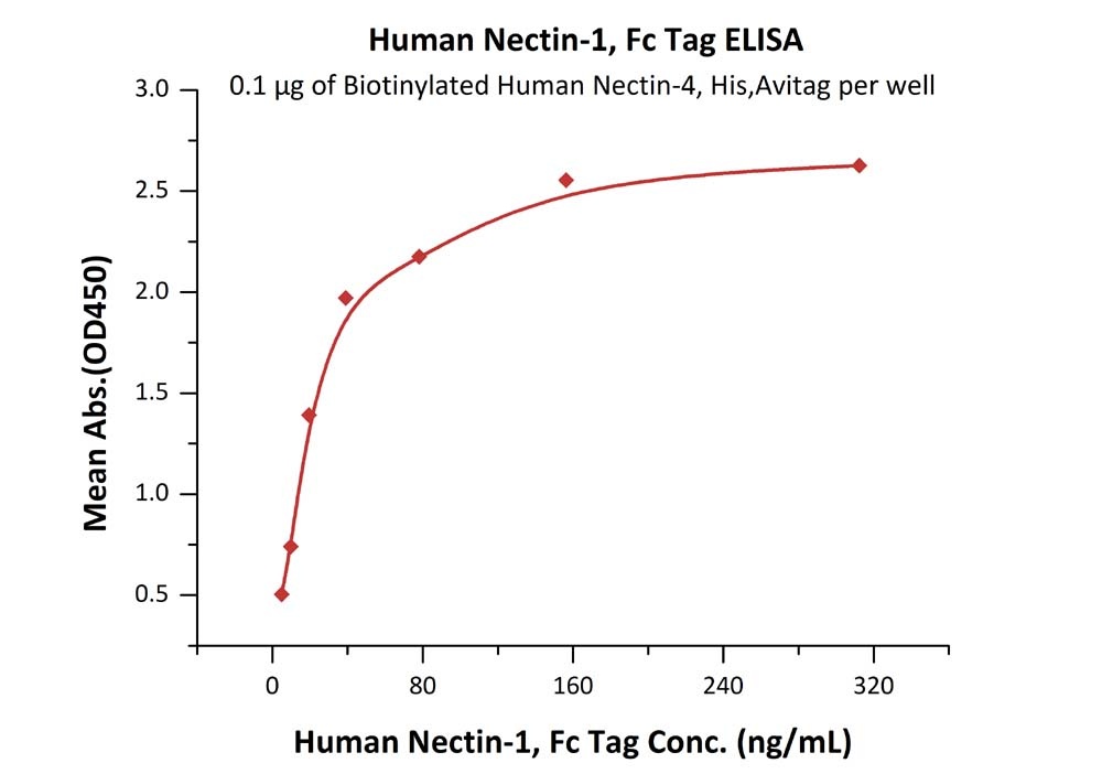 IL-13 Recombinant Protein