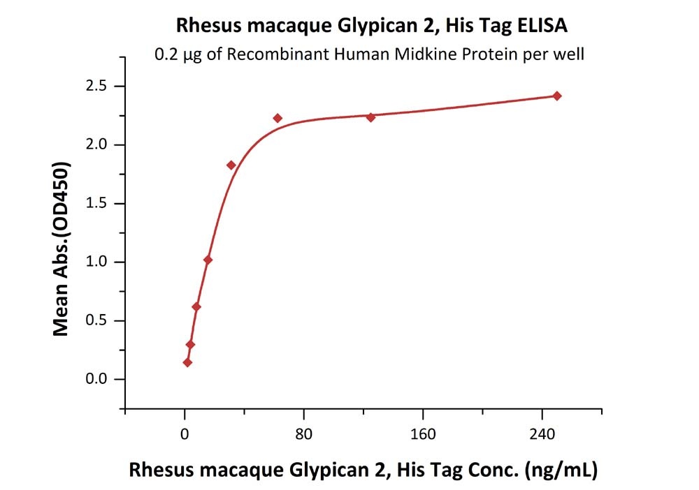 Rhesus macaque Glypican 2 / GPC2 Recombinant Protein