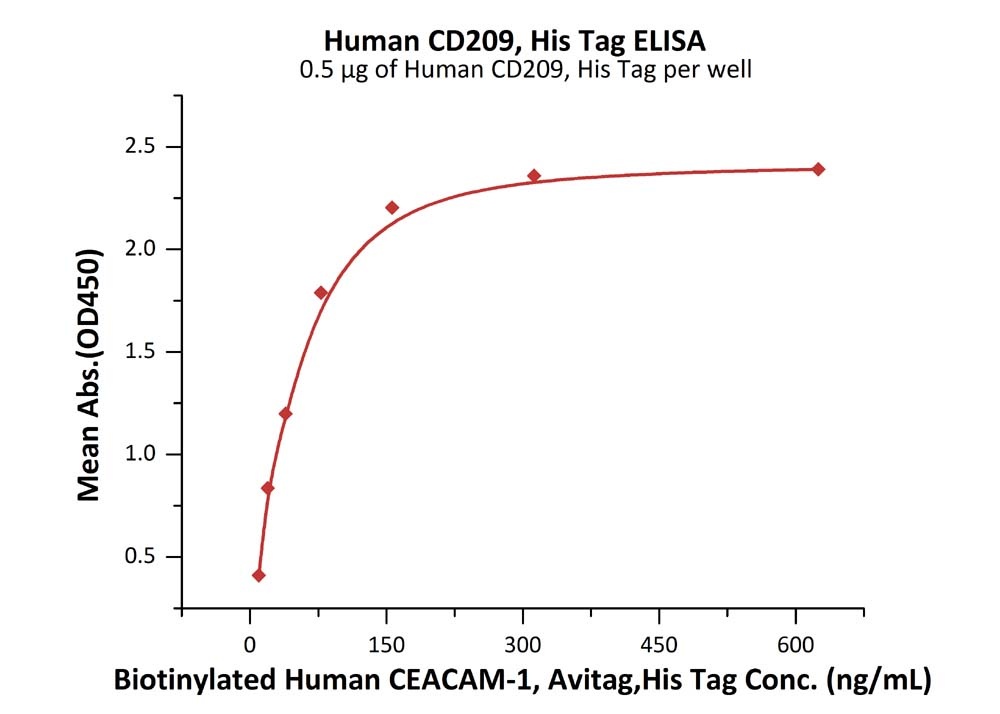 CD209 / DC-SIGN Recombinant Protein