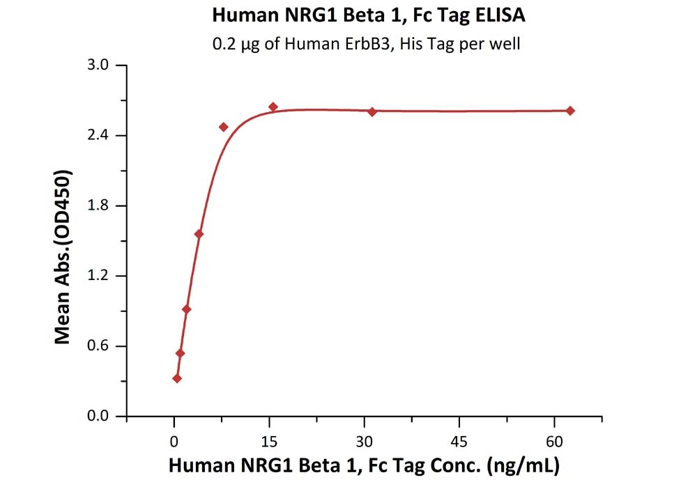 NRG1 Beta 1 Recombinant Protein