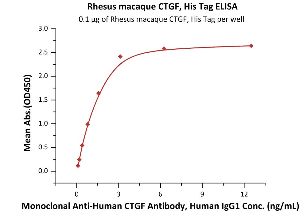 Rhesus macaque CTGF / CCN2 Recombinant Protein