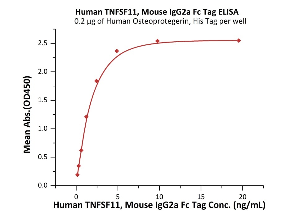 TNFSF11 / RANKL / CD254 Recombinant Protein