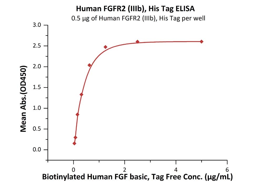 FGF R2 (IIIb) Recombinant Protein