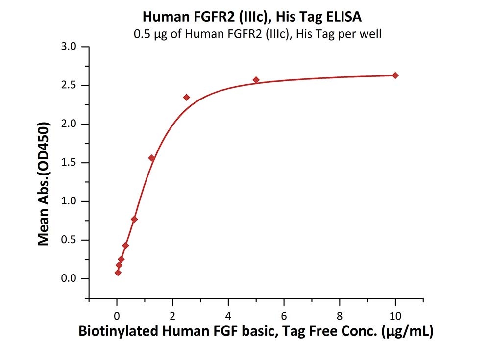 FGF R2 (IIIc) Recombinant Protein