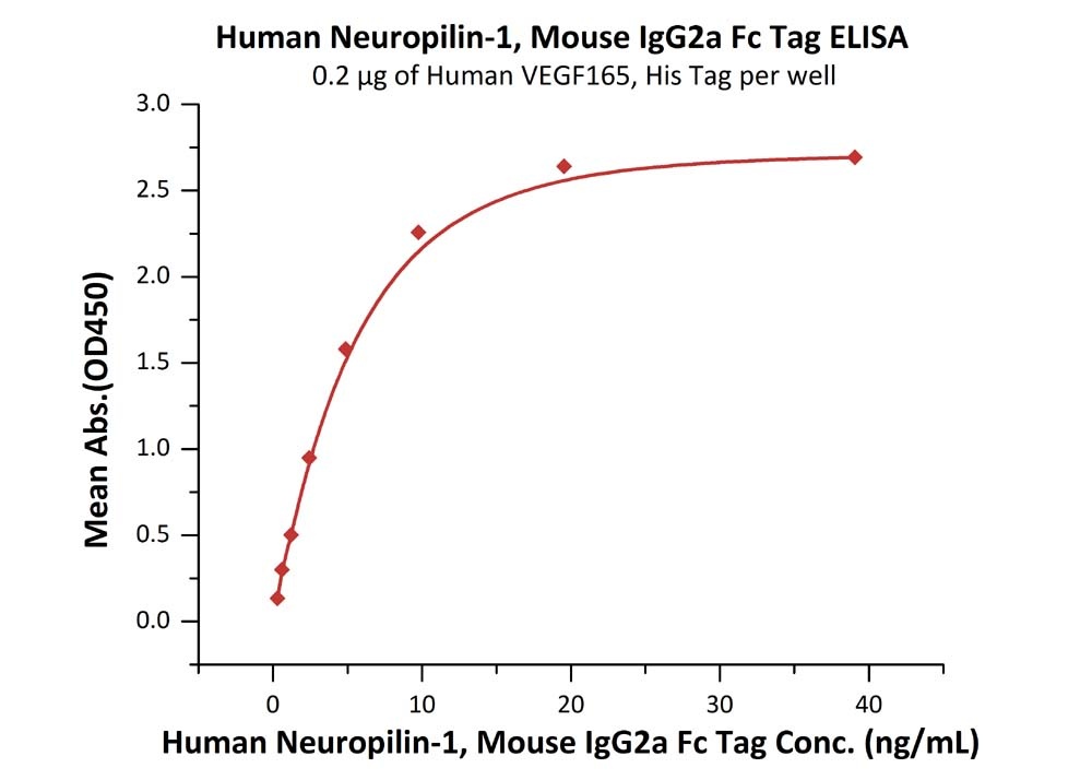 Neuropilin-1 / NRP1 / CD304 Recombinant Protein