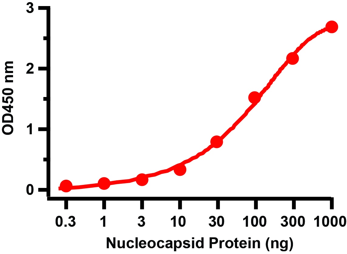 SARS-CoV-2 (COVID-19) Nucleocapsid Recombinant Protein