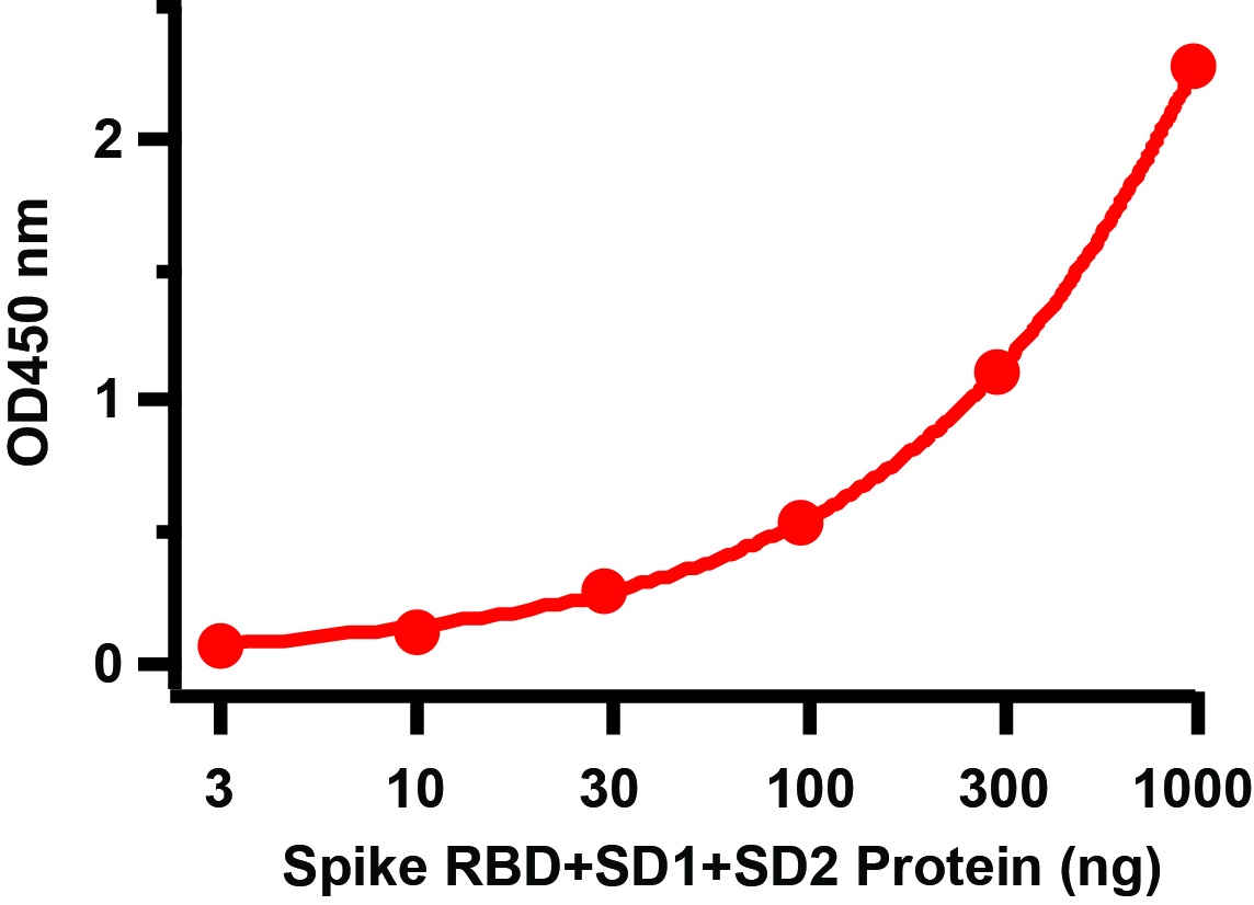 SARS-CoV-2 (COVID-19) Spike RBD + SD1 +SD2 Recombinant Protein