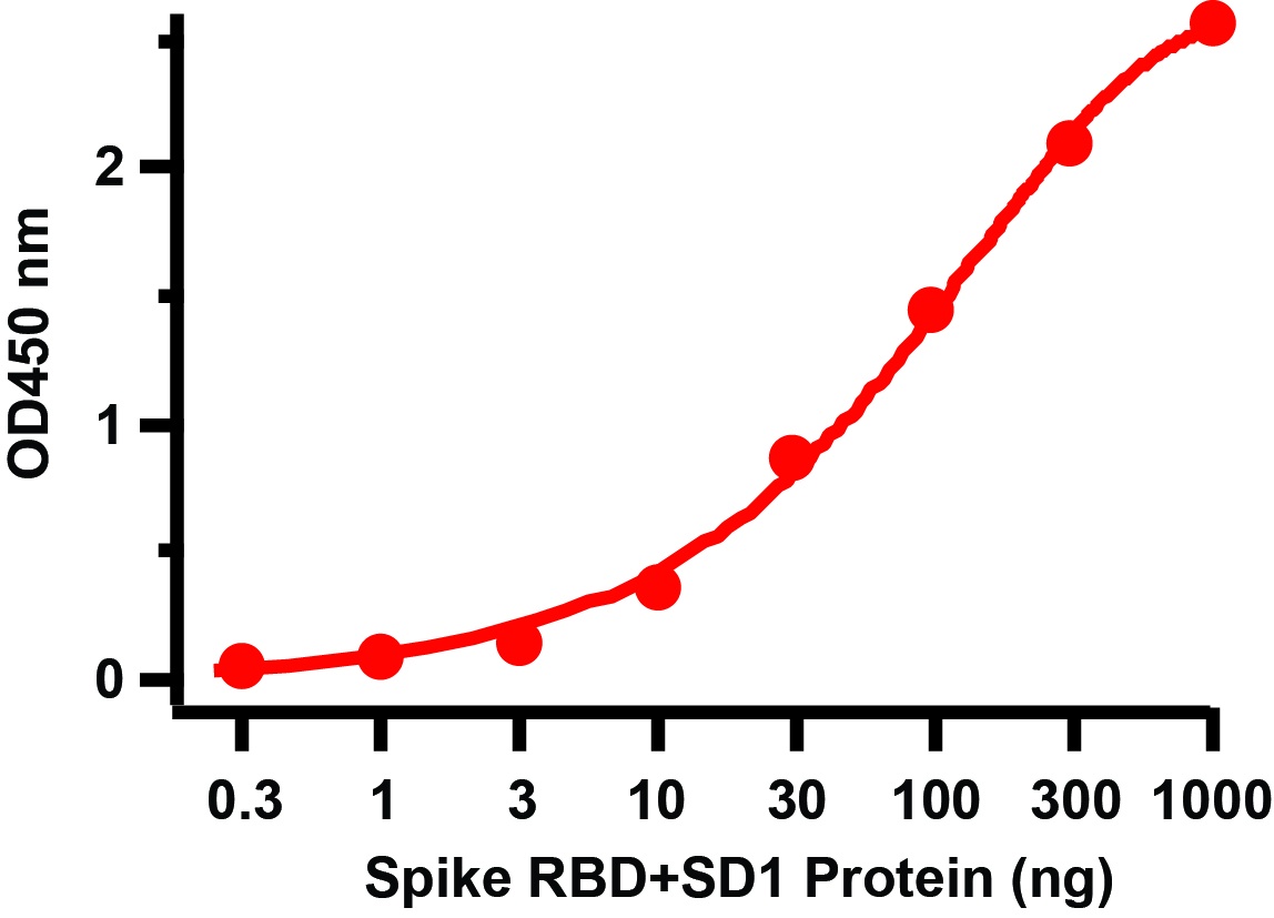 SARS-CoV-2 (COVID-19) Spike RBD + SD1 Recombinant Protein