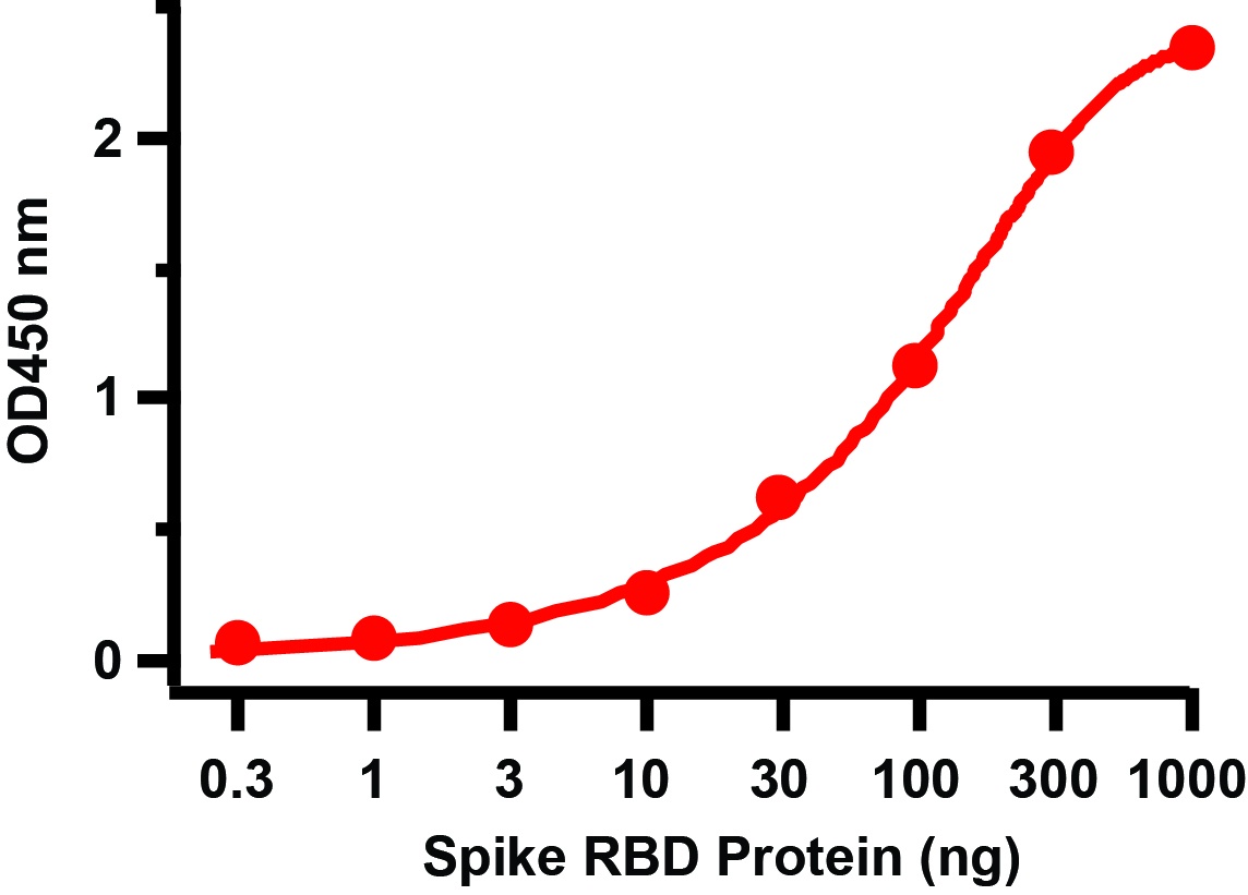 SARS-CoV-2 (COVID-19) Spike RBD Recombinant Protein