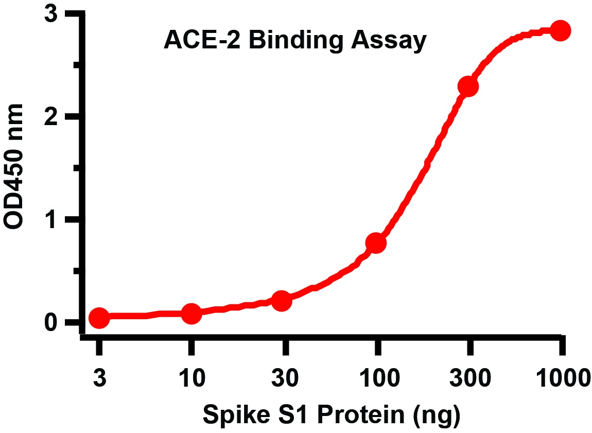 SARS-CoV-2 (COVID-19) Spike S1 Recombinant Protein