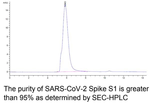 SARS-CoV-2 (COVID-19) Spike S1 Recombinant Protein