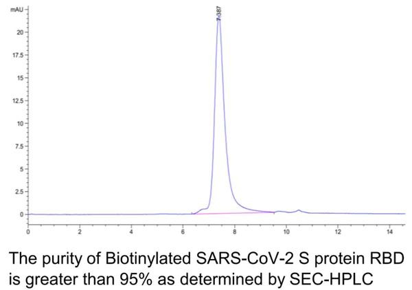 SARS-CoV-2 (COVID-19) Biotinylated Spike RBD Recombinant Protein