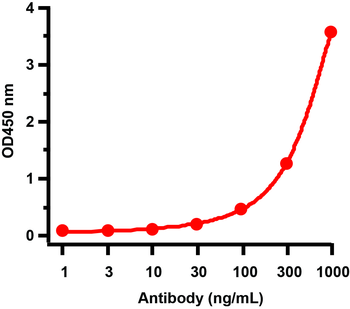 H1N1 Neuraminidase Antibody