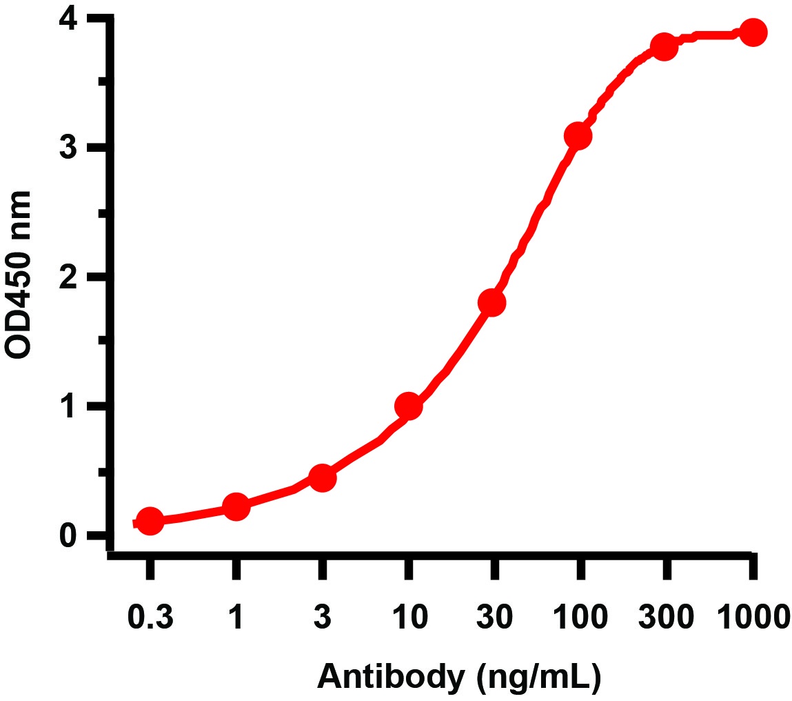 SARS-CoV-2 (COVID-19) Spike S2 Antibody [4F10]