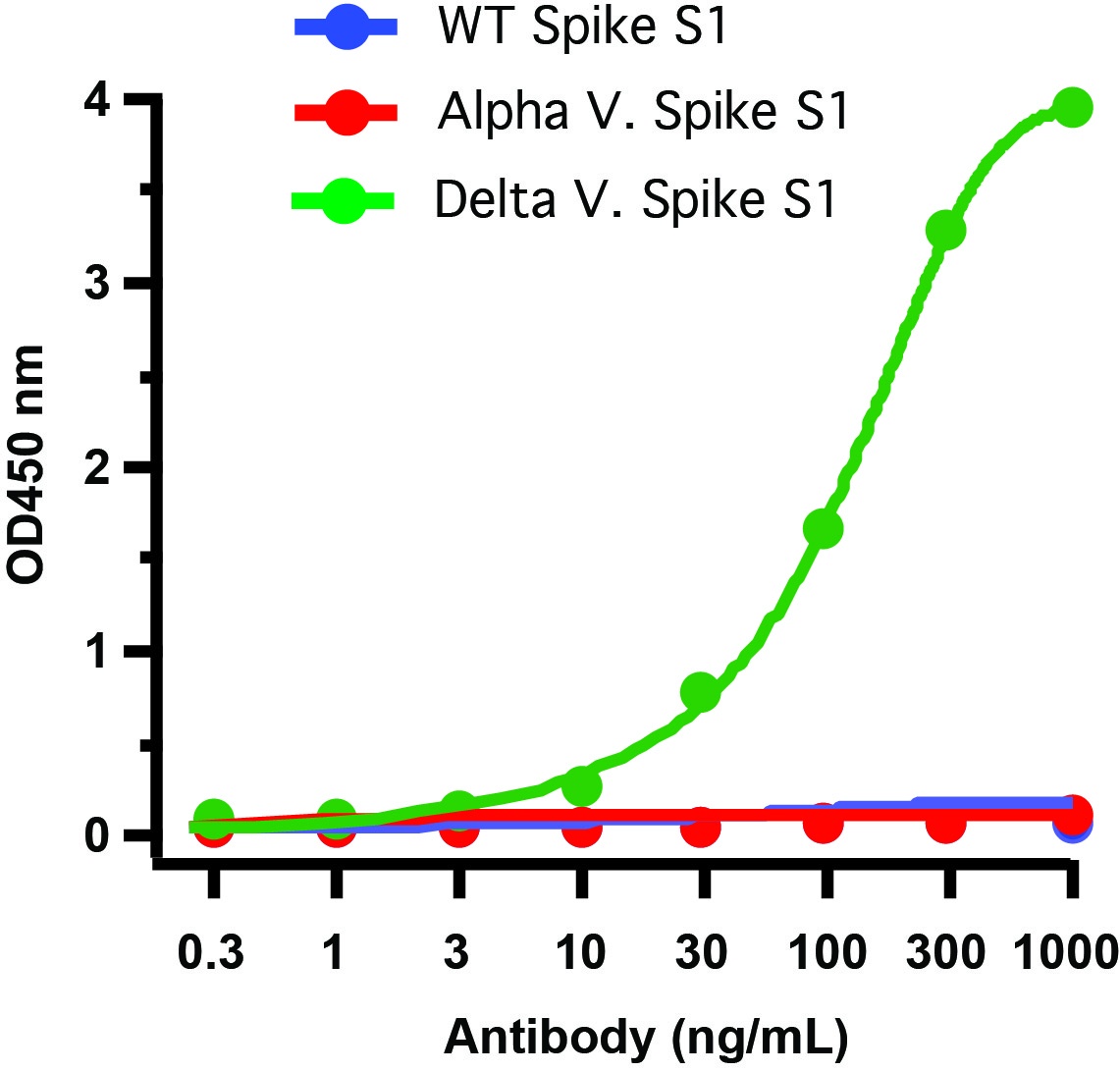 SARS-CoV-2 (COVID-19) Spike P681R Antibody [7E3C5] (Delta Variant)